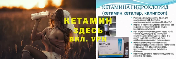 крисы Абаза