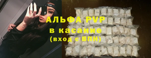 крисы Абаза